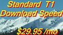 Vaughns.com DSL Internet Service