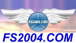 Flight Simulator 2004 Planes!