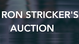Ron Stricker's Auction